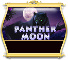 Panther Moon